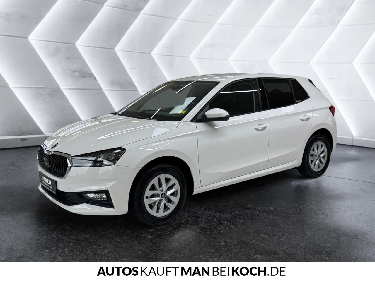 Fahrzeugbild eines Skoda Fabia