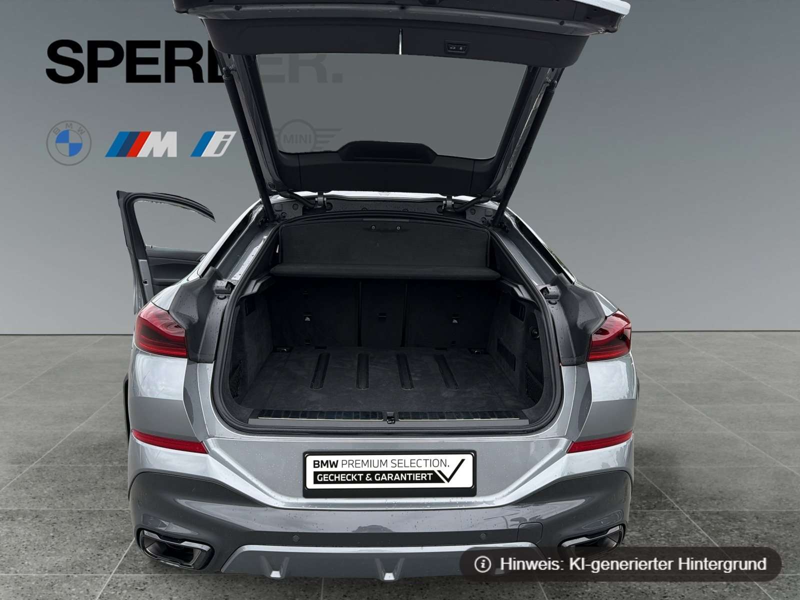 Fahrzeugbild eines BMW X6