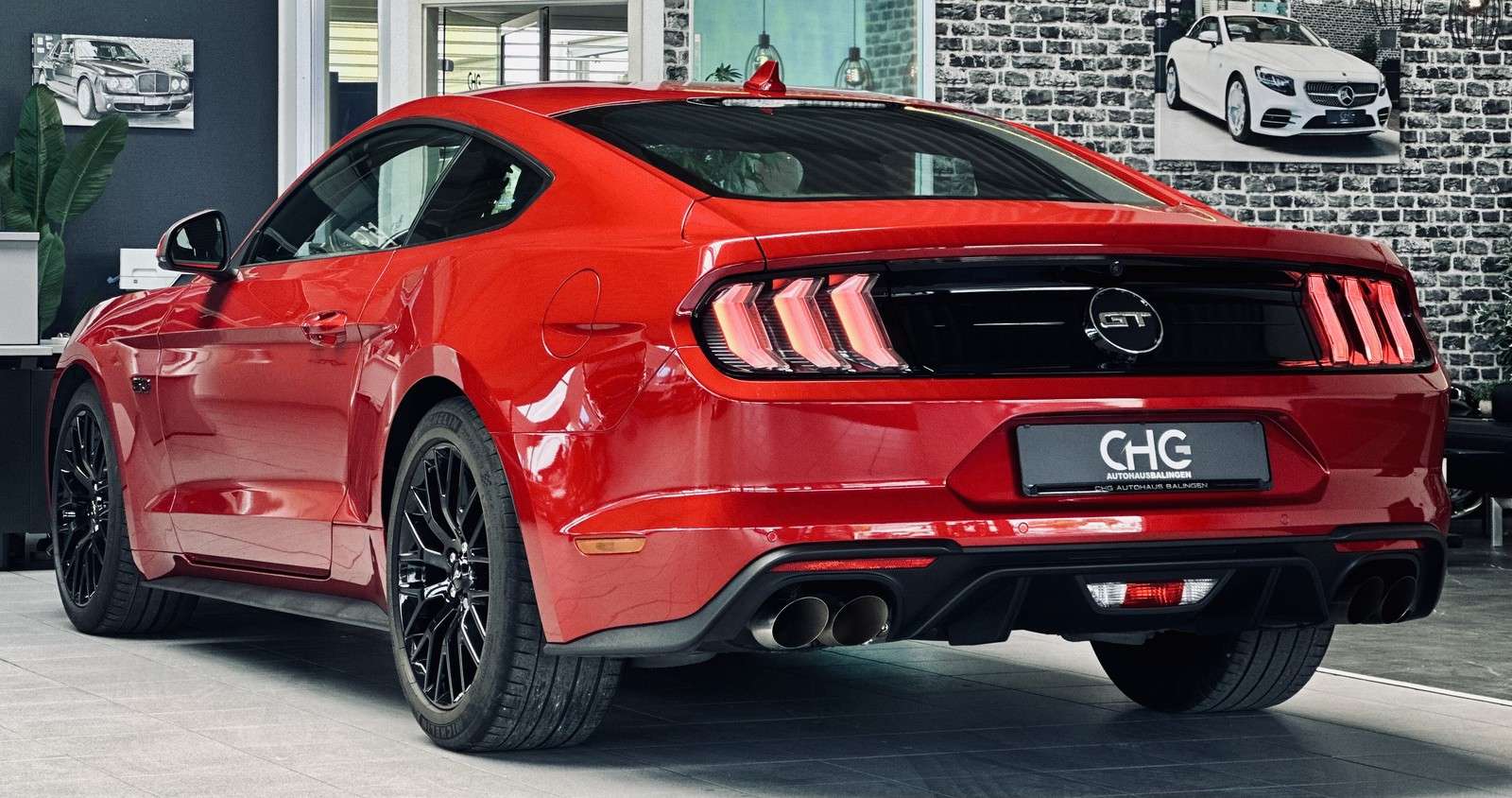 Fahrzeugbild eines Ford Mustang