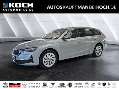 Bild Skoda Octavia