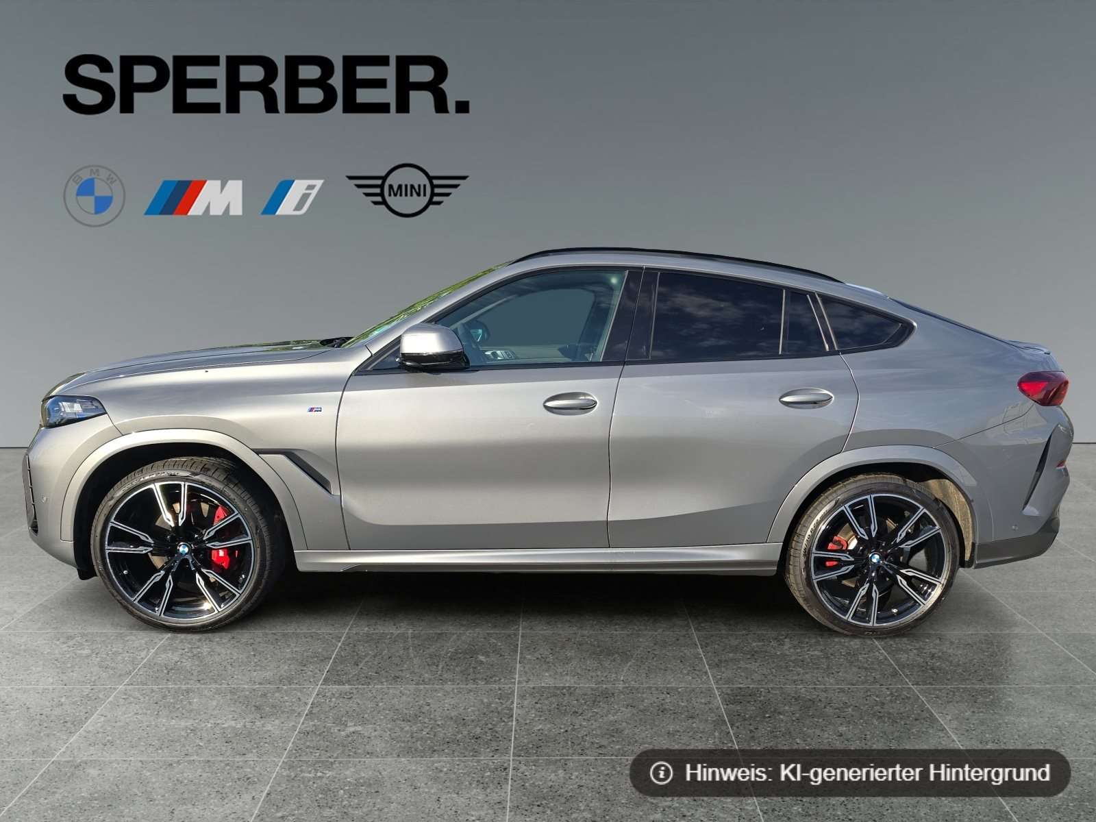 Fahrzeugbild eines BMW X6