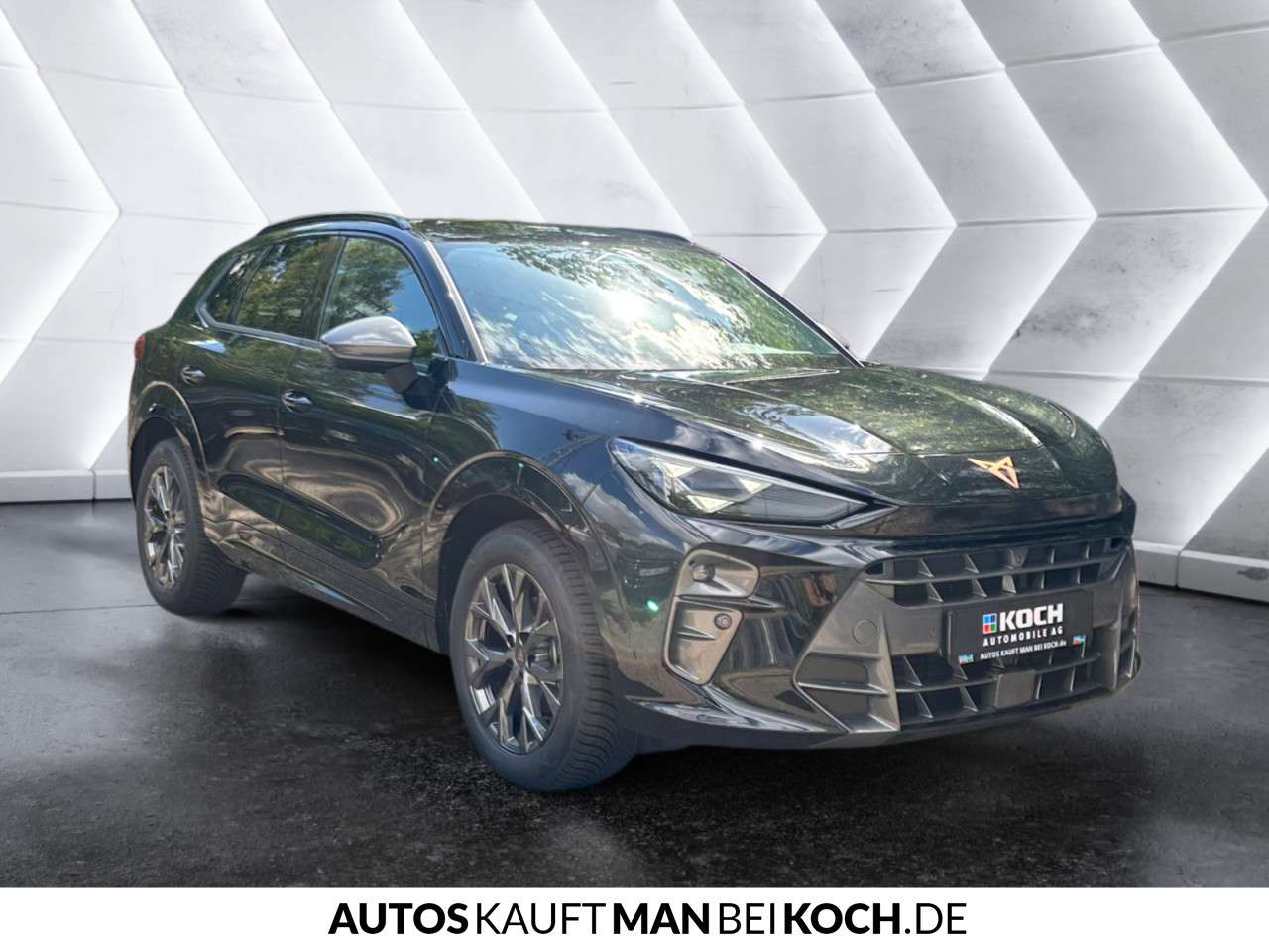 Fahrzeugbild eines CUPRA Terramar