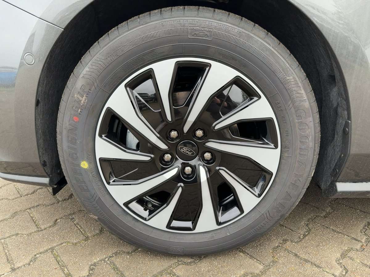 Fahrzeugbild eines Ford Focus