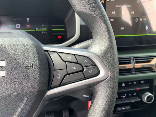 Fahrzeugbild eines Dacia Spring