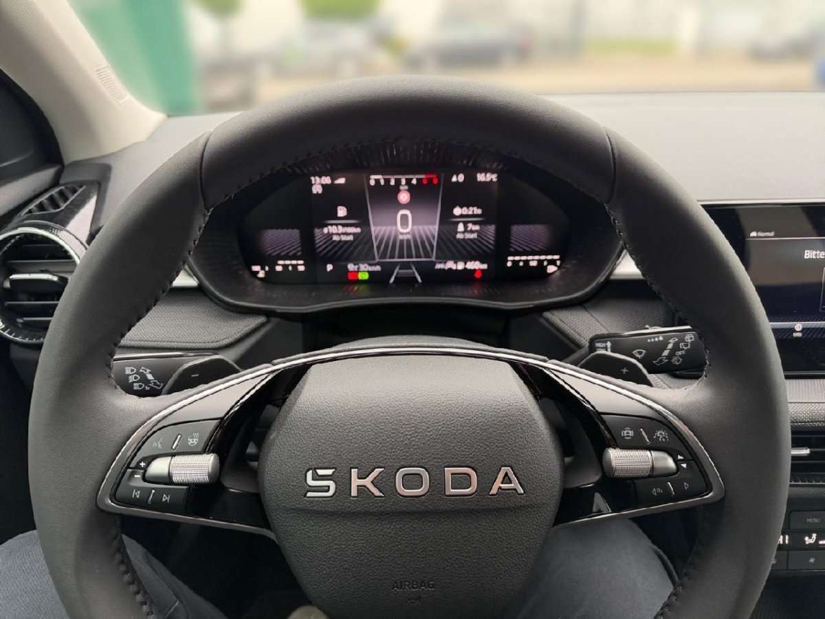 Fahrzeugbild eines Skoda Fabia