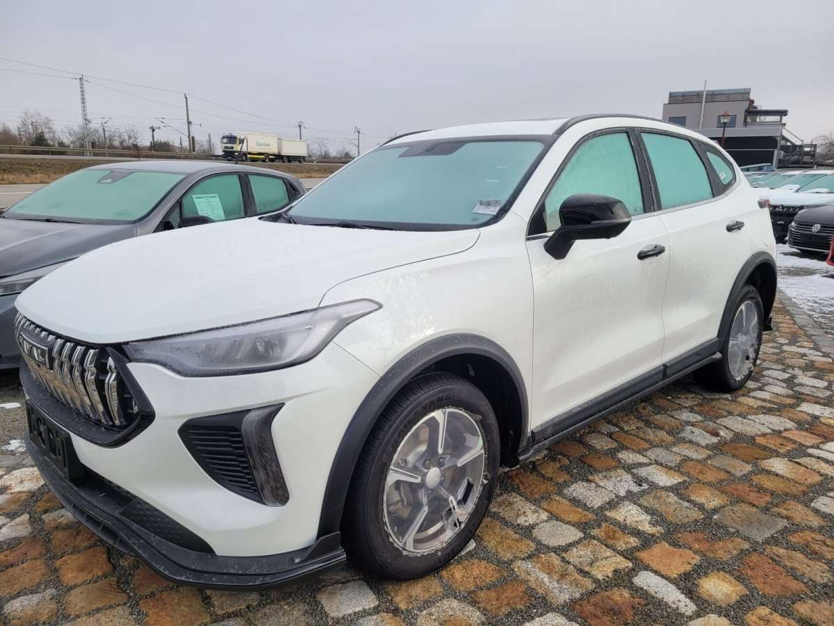 Fahrzeugbild eines GWM Haval Jolion Pro