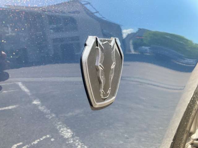 Fahrzeugbild eines Ford Mustang