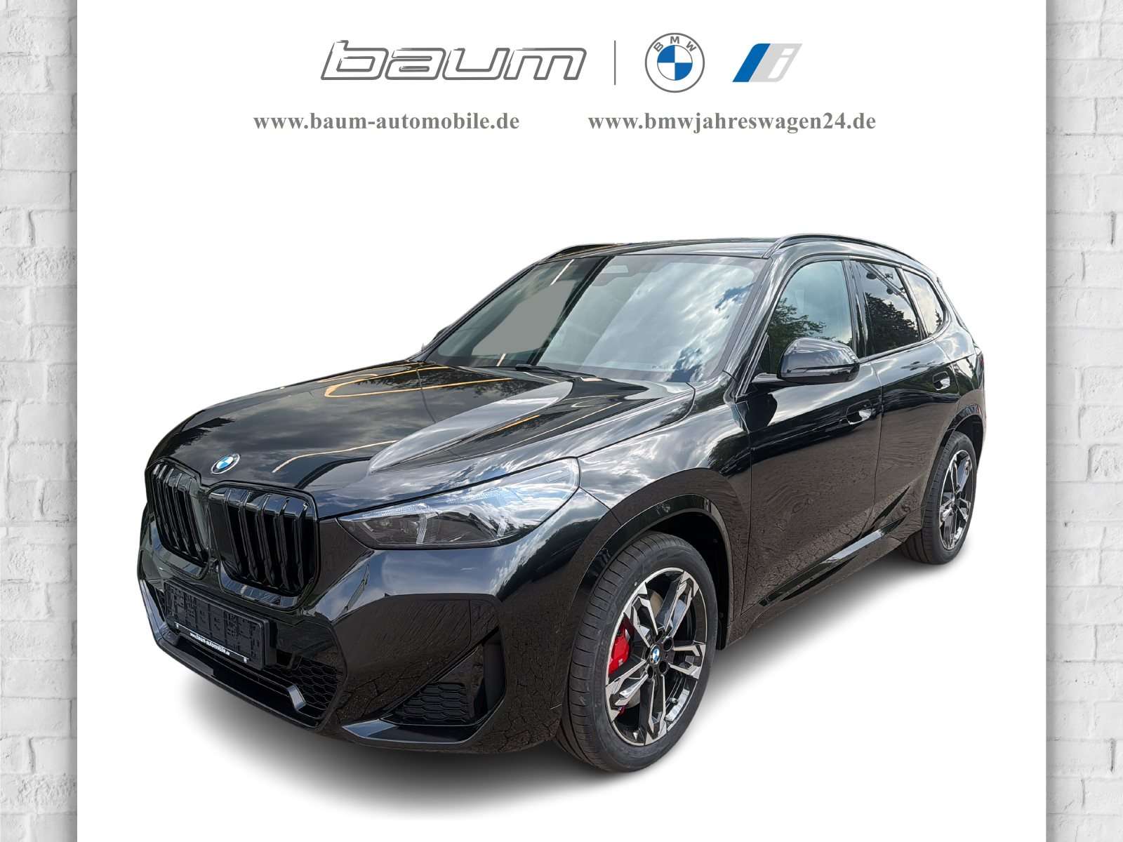 Fahrzeugbild eines BMW X1