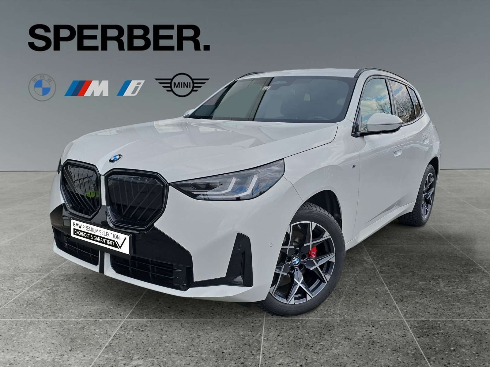 Fahrzeugbild eines BMW X3