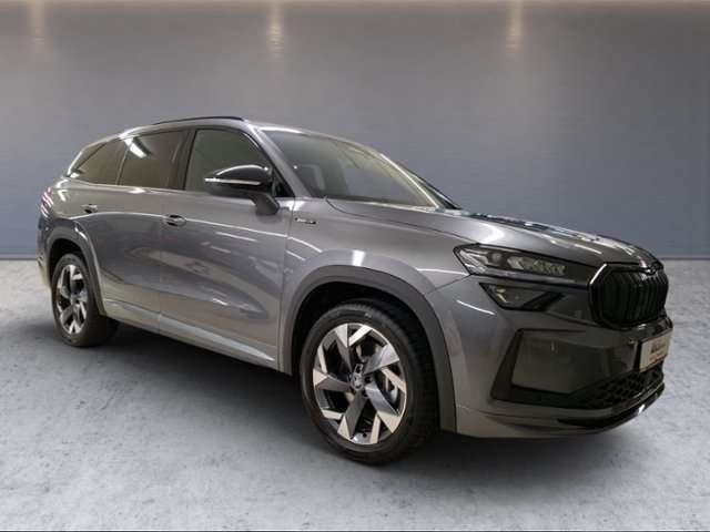 Fahrzeugbild eines Skoda Kodiaq