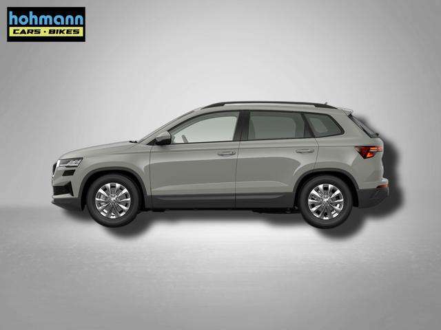 Fahrzeugbild eines Skoda Karoq