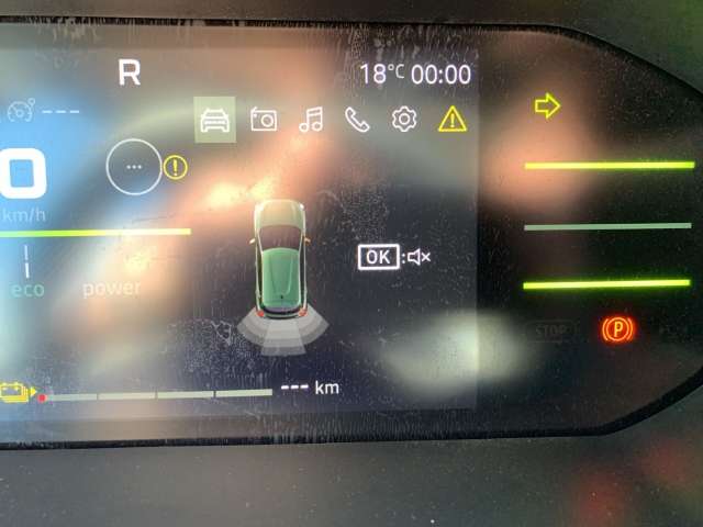 Fahrzeugbild eines Dacia Spring