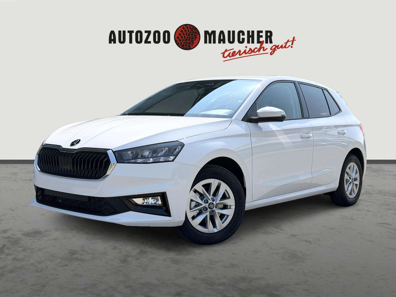 Fahrzeugbild eines Skoda Fabia
