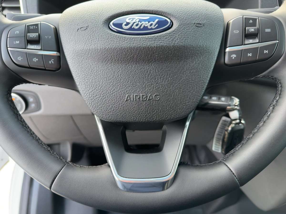 Fahrzeugbild eines Ford Transit