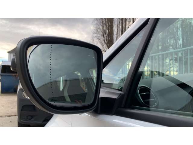 Fahrzeugbild eines Renault ZOE