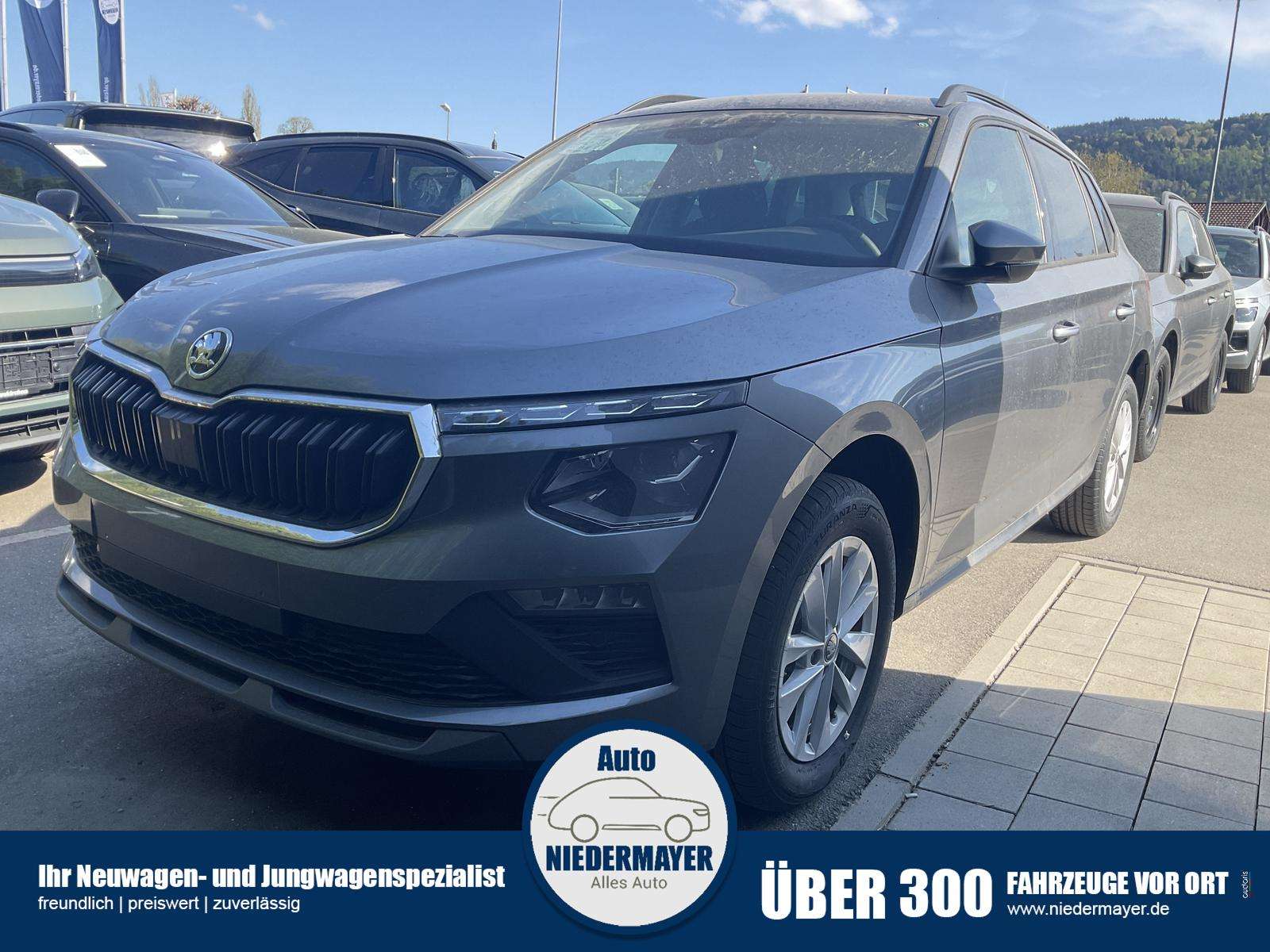 Fahrzeugbild eines Skoda Kamiq