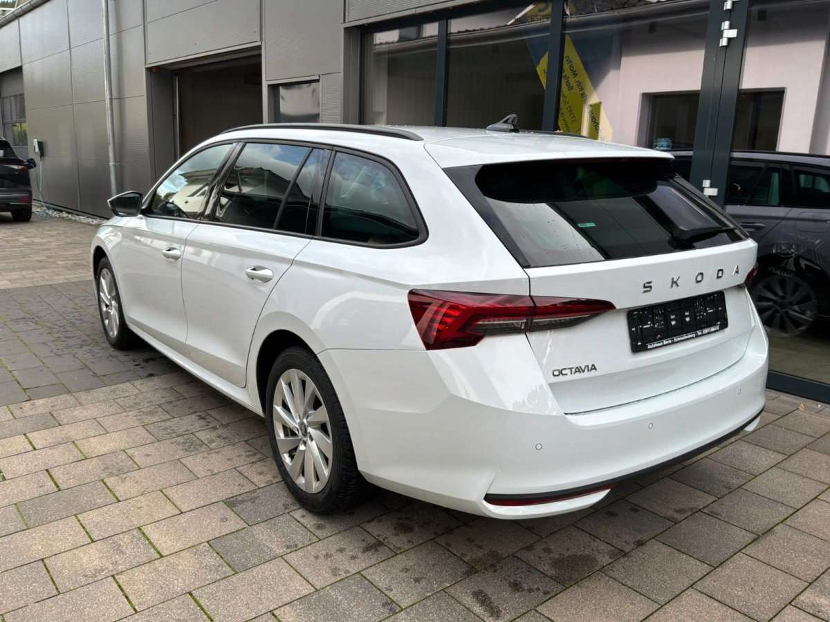 Fahrzeugbild eines Skoda Octavia