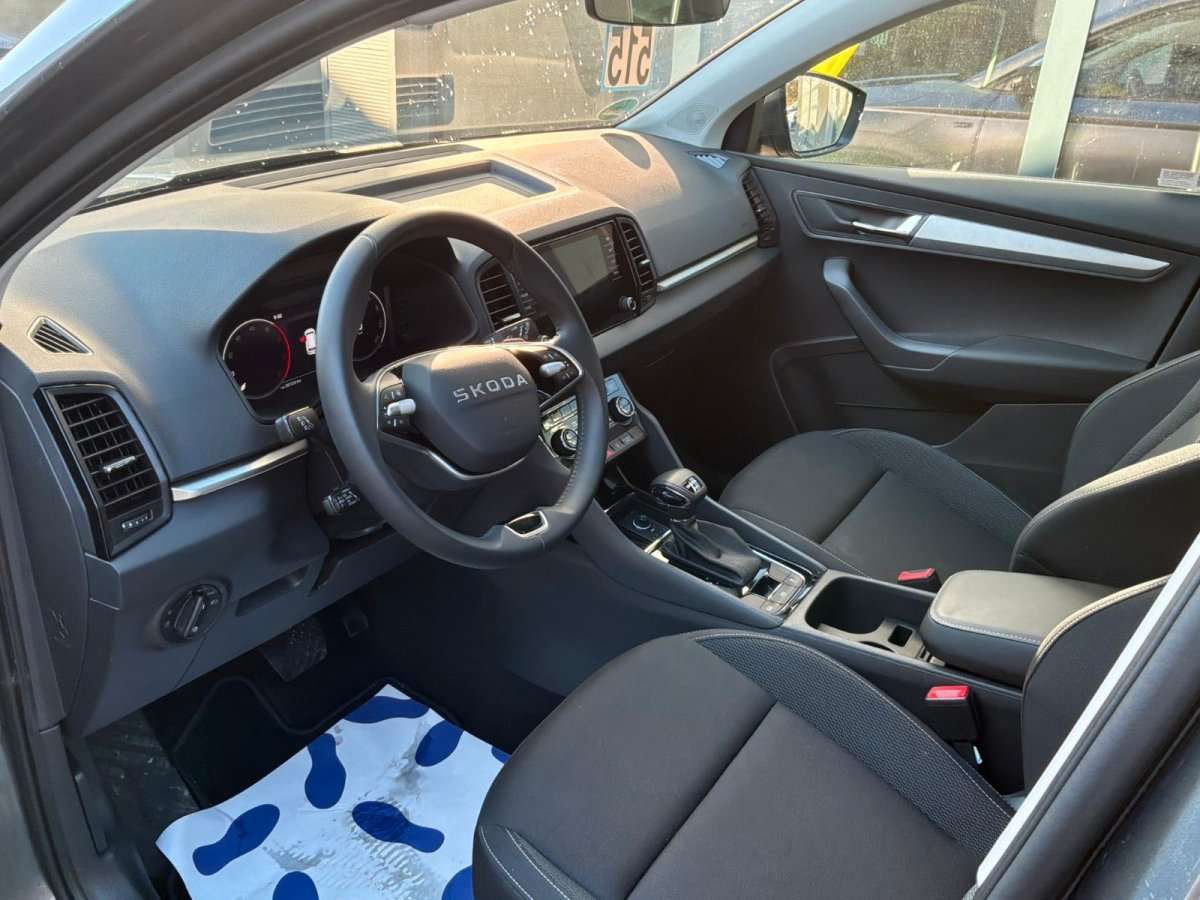 Fahrzeugbild eines Skoda Karoq