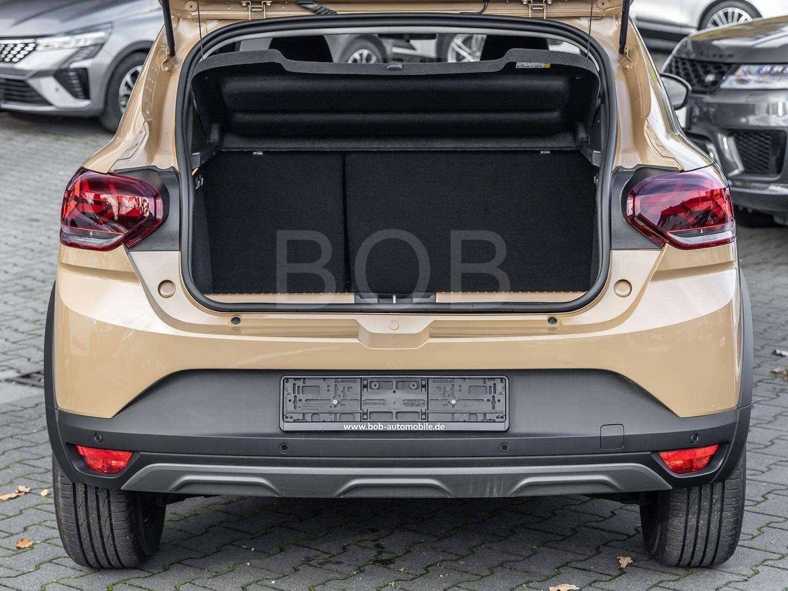 Fahrzeugbild eines Dacia Sandero