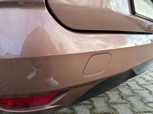 Fahrzeugbild eines Renault Mégane