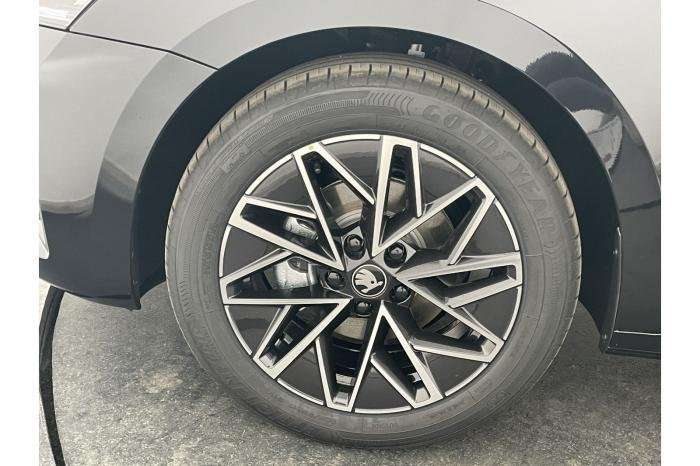 Fahrzeugbild eines Skoda Octavia