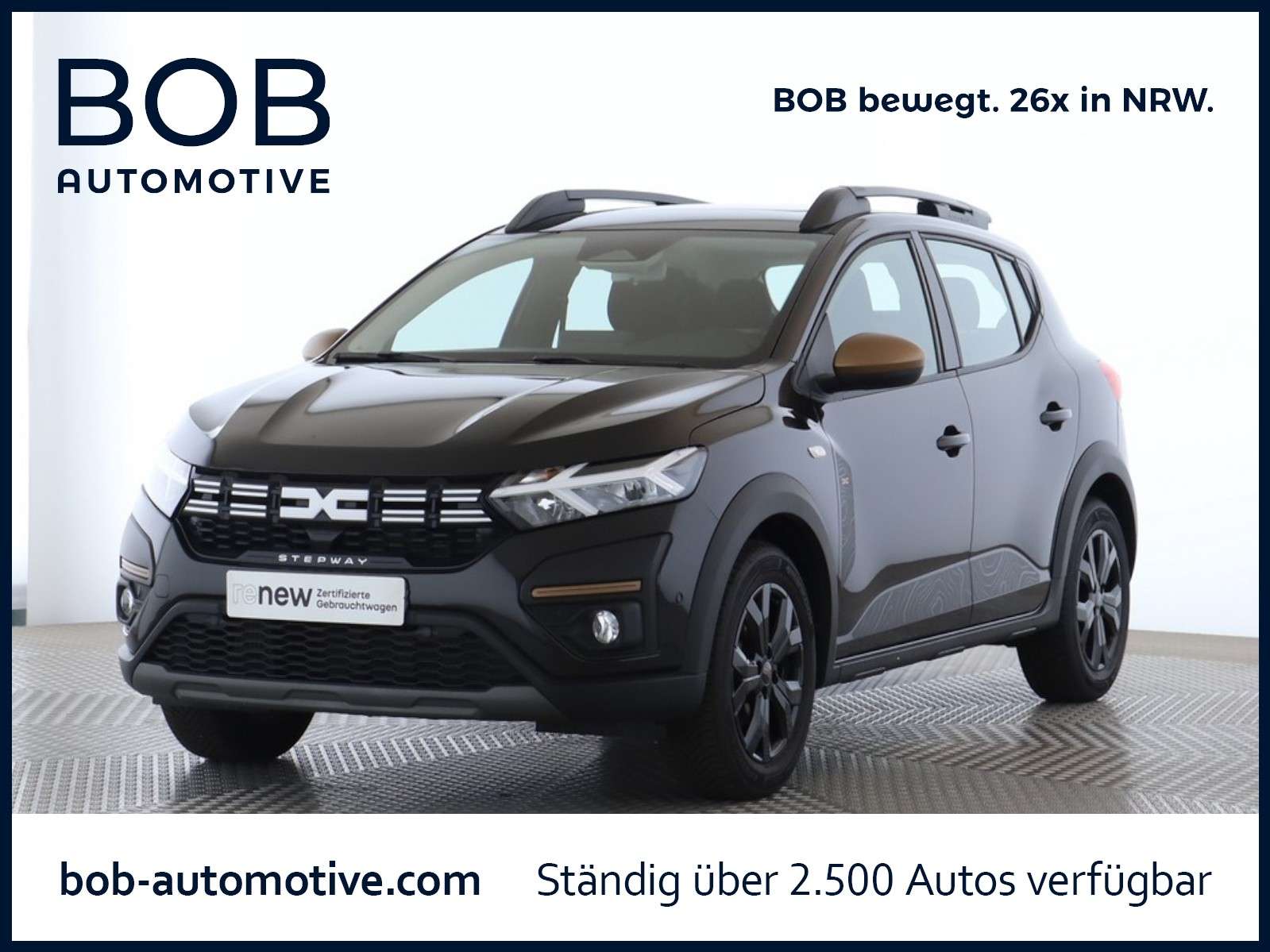 Fahrzeugbild eines Dacia Sandero