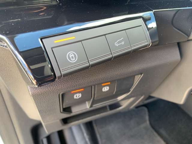 Fahrzeugbild eines Renault Rafale