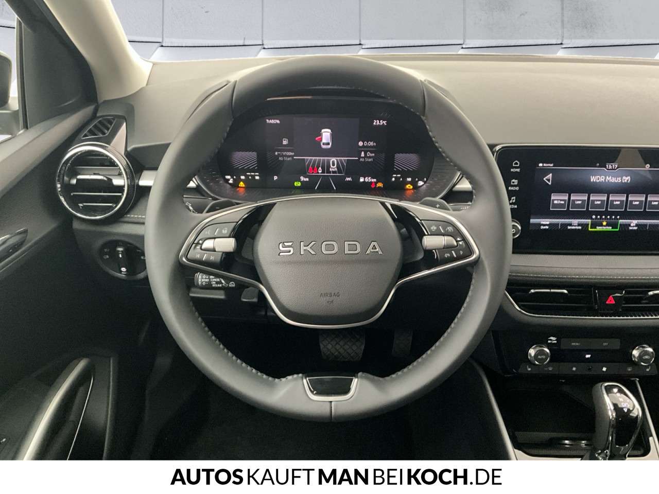 Fahrzeugbild eines Skoda Fabia