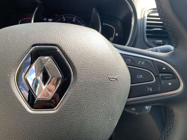 Fahrzeugbild eines Renault Grand Scénic