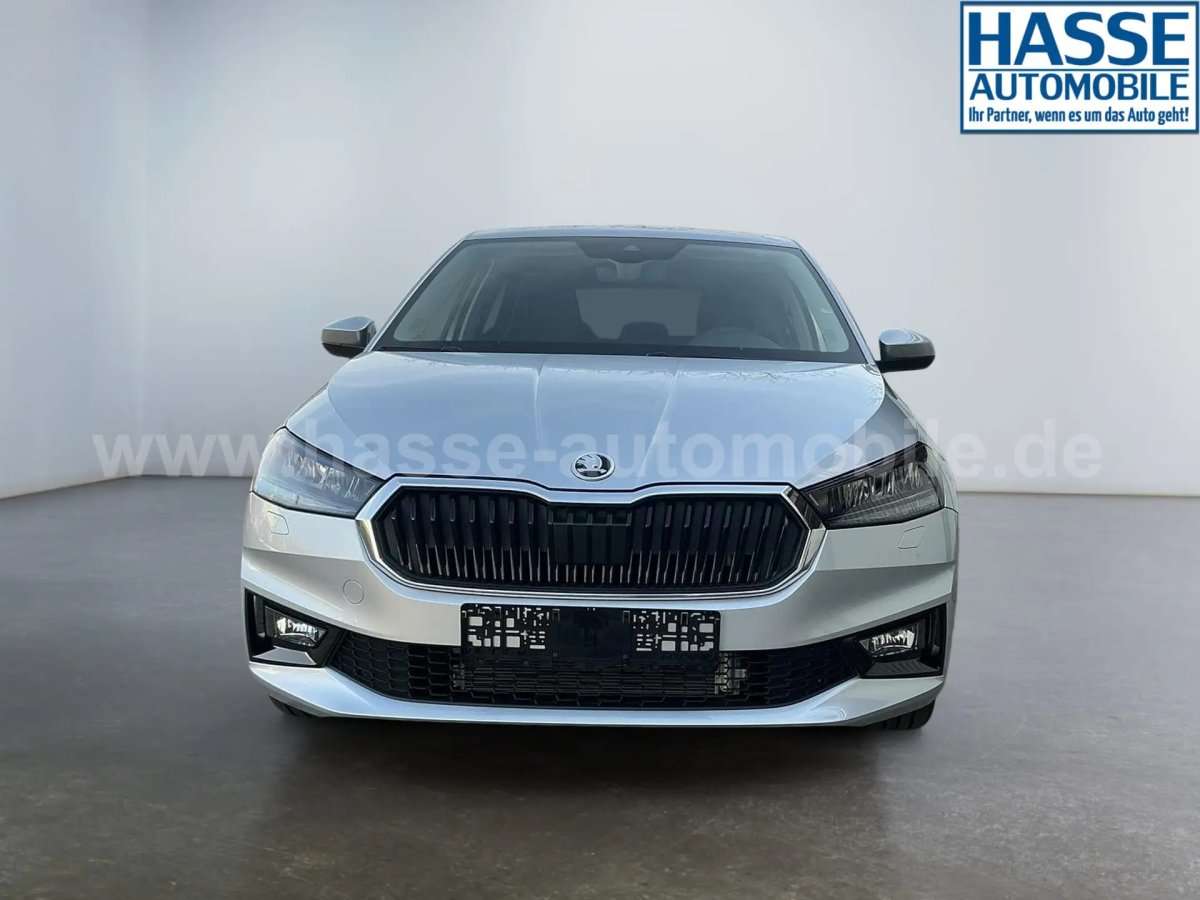 Fahrzeugbild eines Skoda Fabia