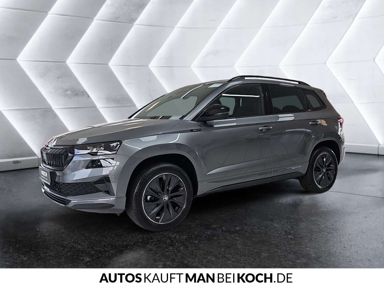 Fahrzeugbild eines Skoda Karoq