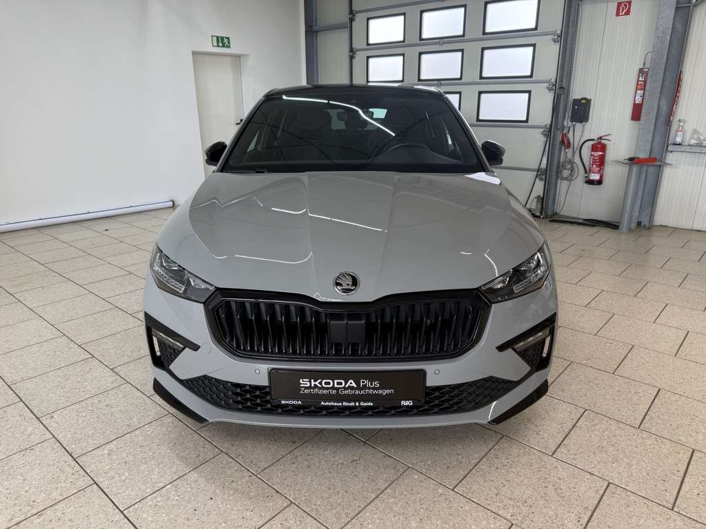 Fahrzeugbild eines Skoda Scala