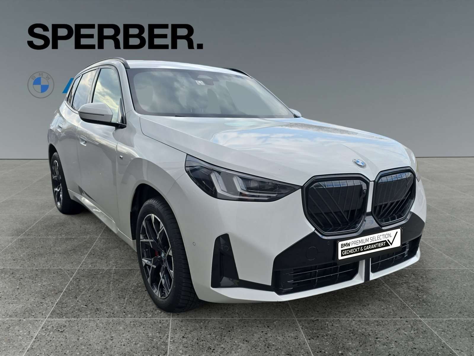 Fahrzeugbild eines BMW X3