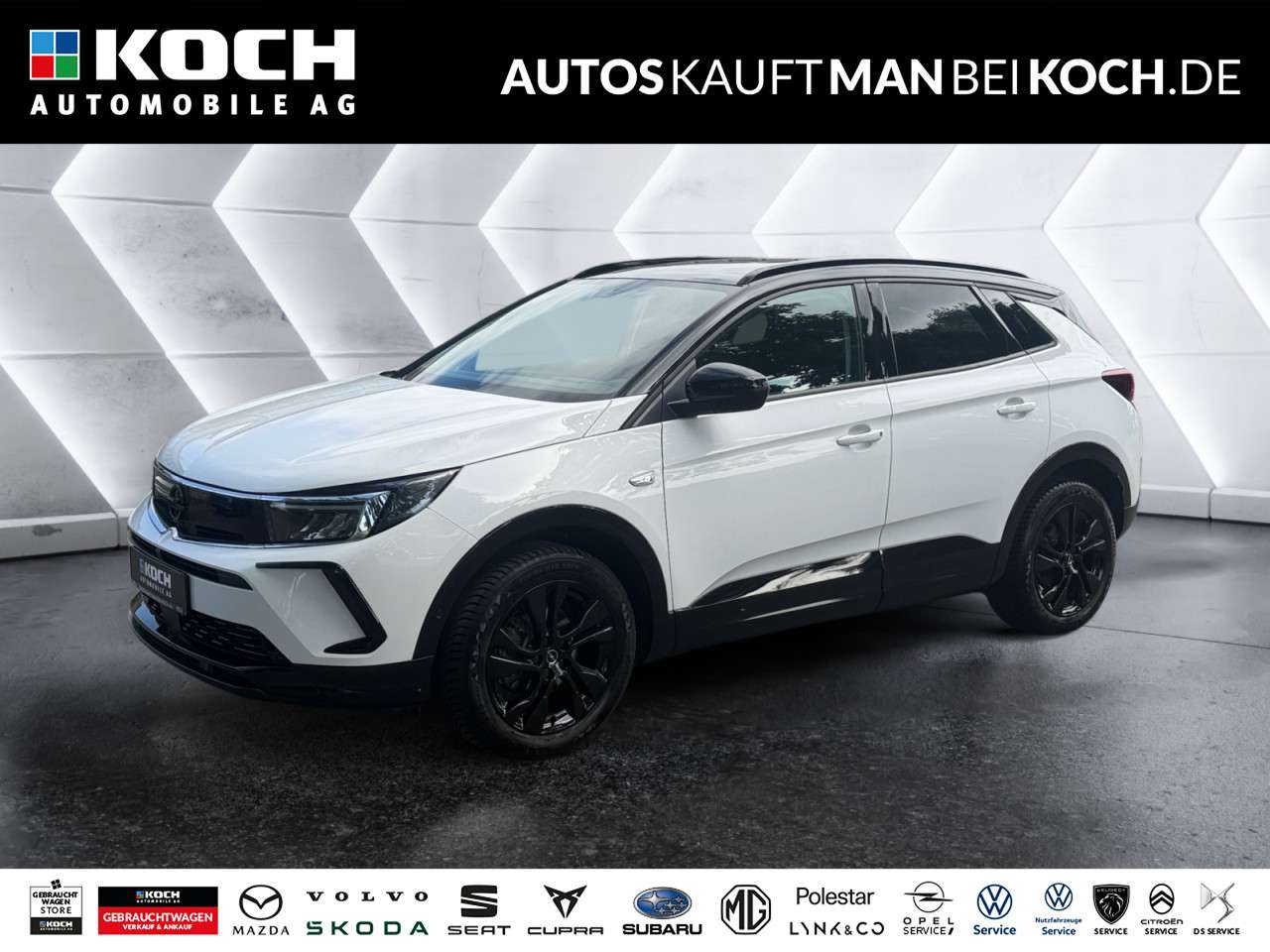Fahrzeugbild eines Opel Grandland X