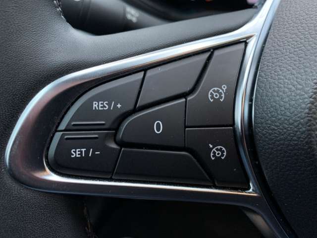 Fahrzeugbild eines Renault ZOE