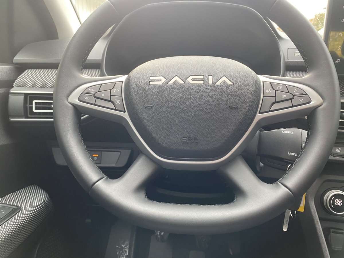 Fahrzeugbild eines Dacia Sandero