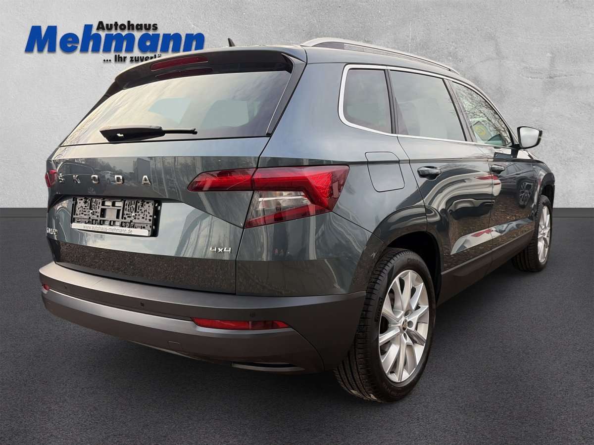 Fahrzeugbild eines Skoda Karoq
