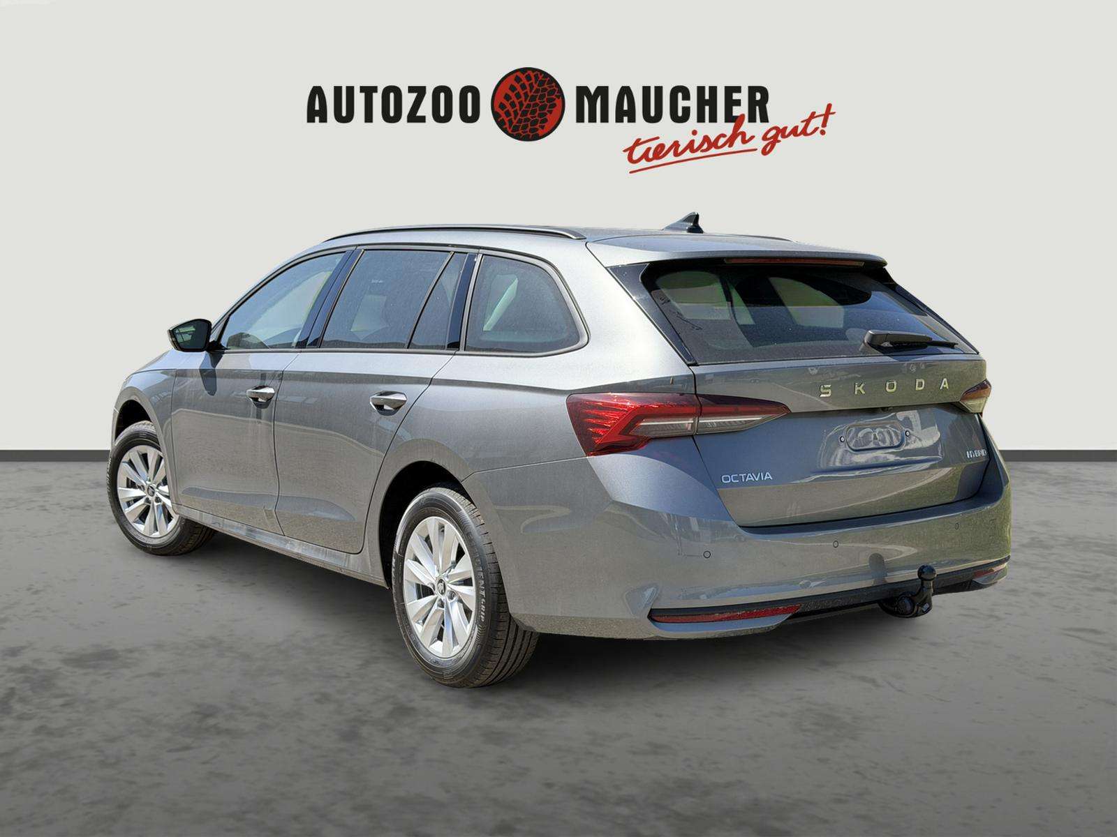 Fahrzeugbild eines Skoda Octavia