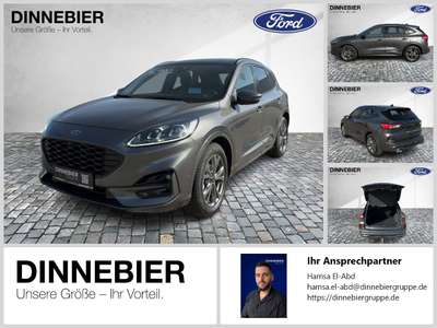 Bild Ford Kuga