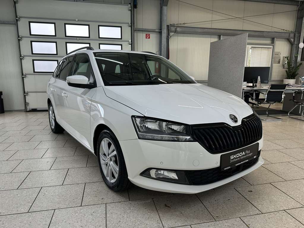 Fahrzeugbild eines Skoda Fabia
