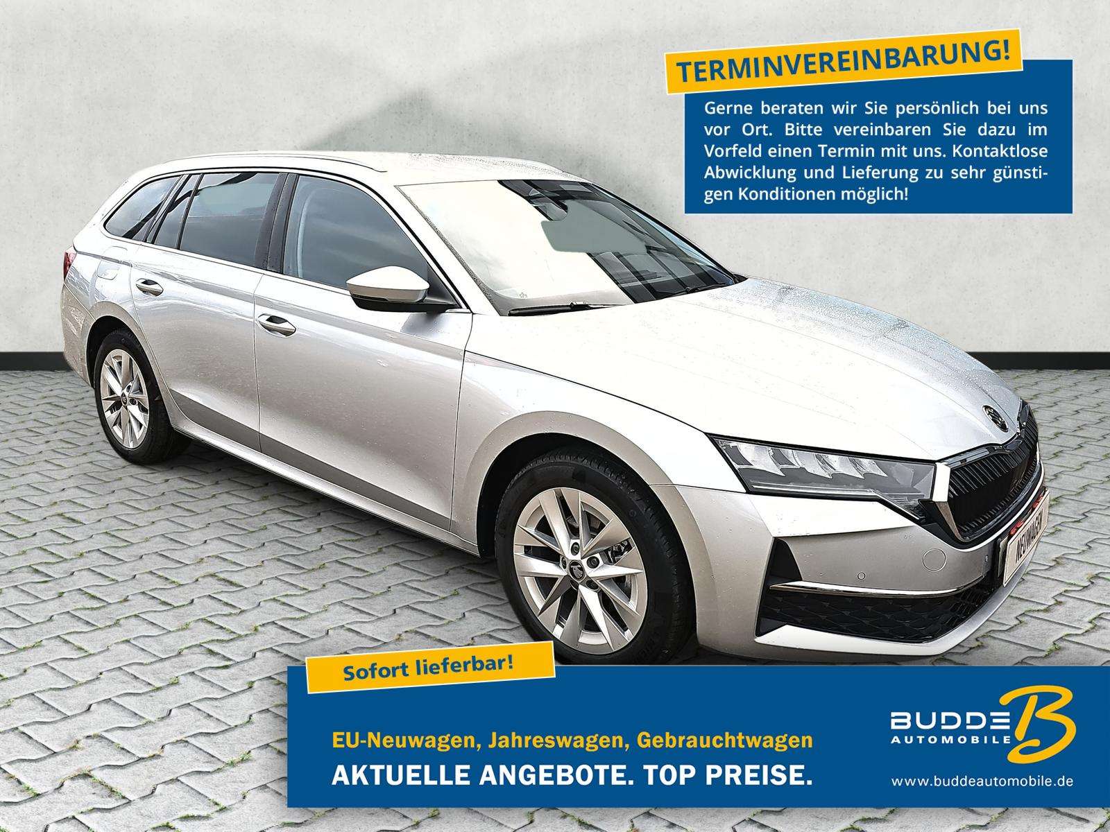 Fahrzeugbild eines Skoda Octavia