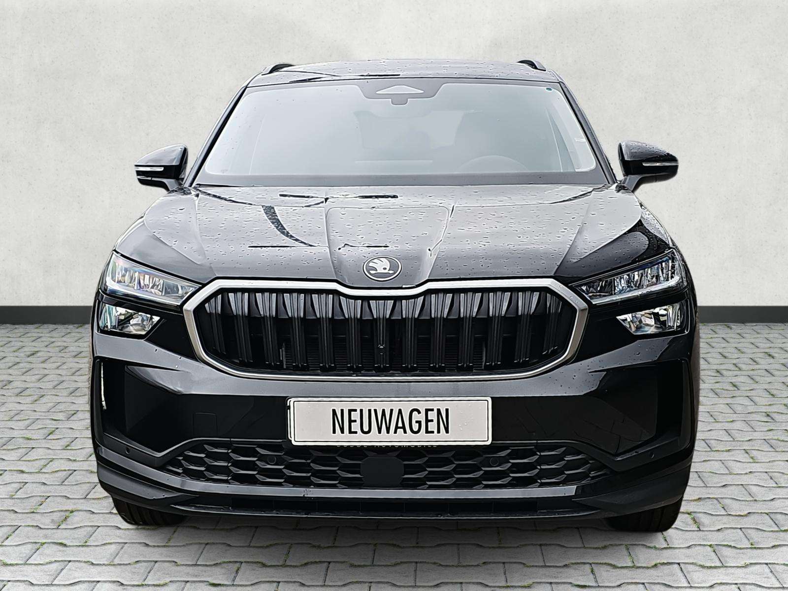 Fahrzeugbild eines Skoda Kodiaq