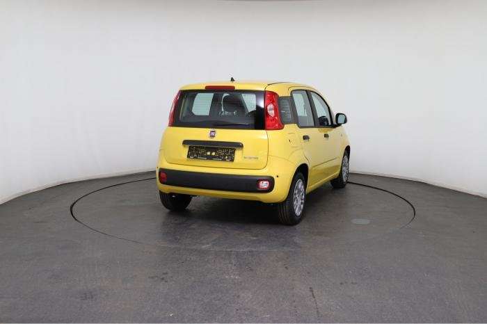 Fahrzeugbild eines Fiat Panda