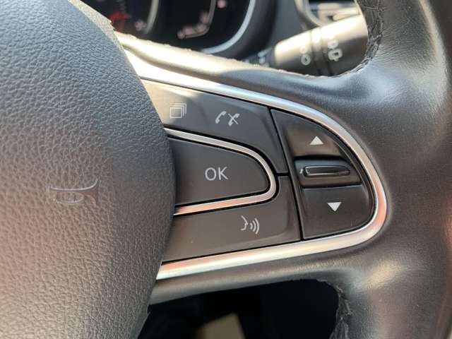 Fahrzeugbild eines Renault Grand Scénic