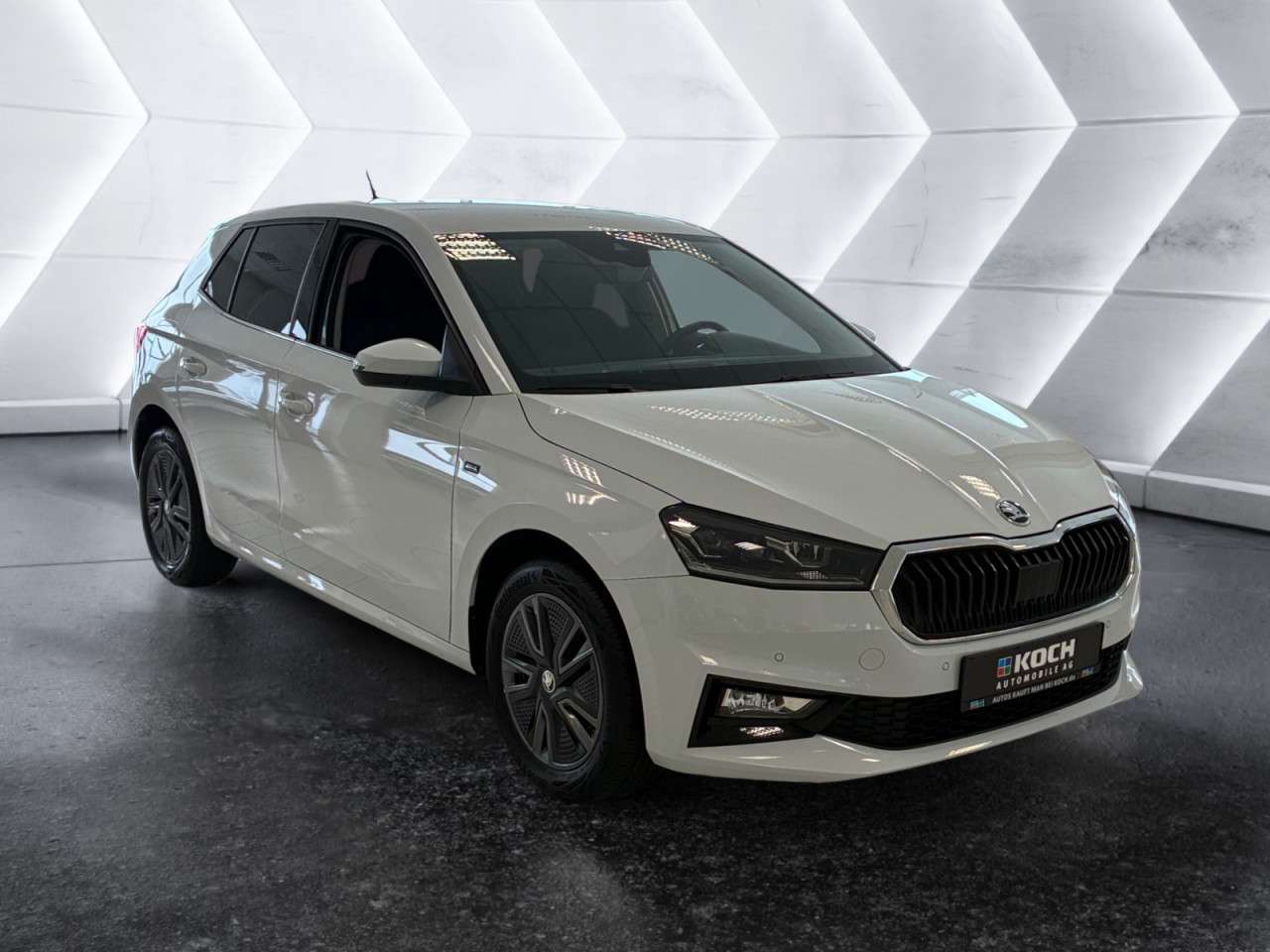 Fahrzeugbild eines Skoda Fabia