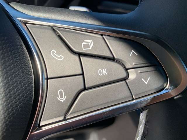 Fahrzeugbild eines Renault Master
