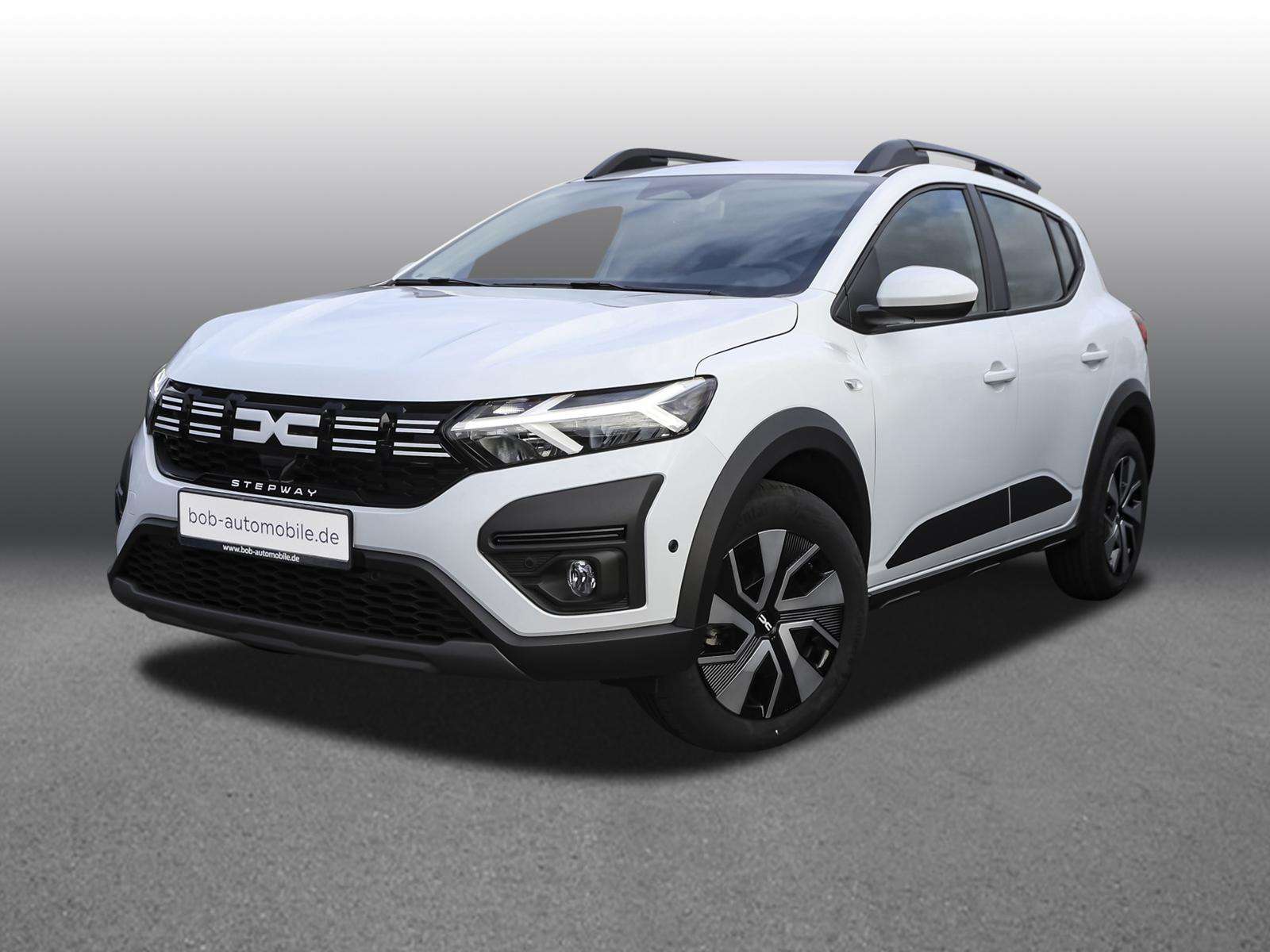 Fahrzeugbild eines Dacia Sandero