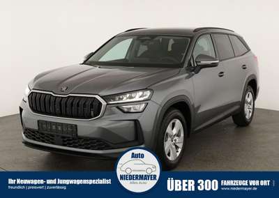 Bild Skoda Kodiaq