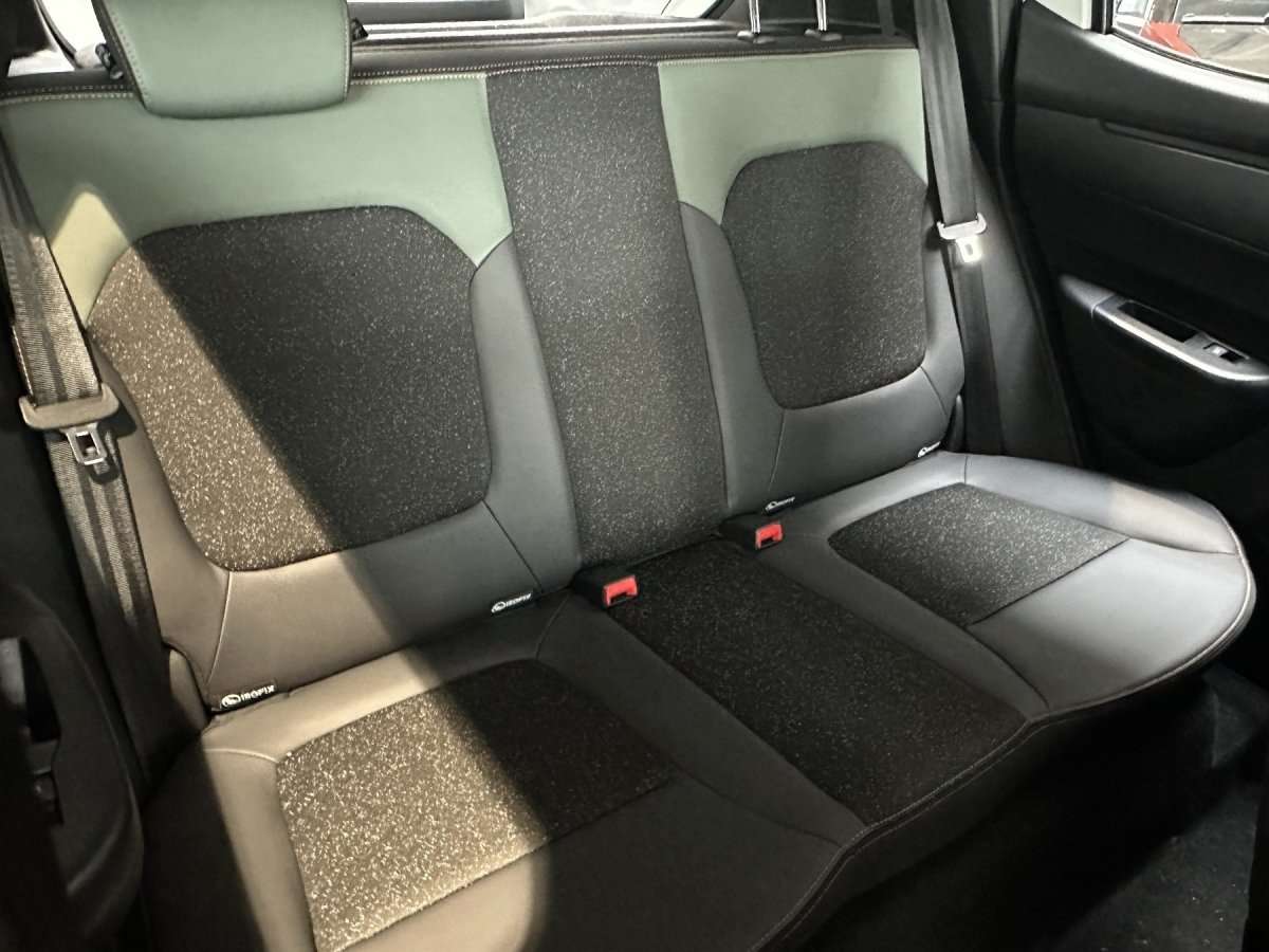 Fahrzeugbild eines Dacia Spring