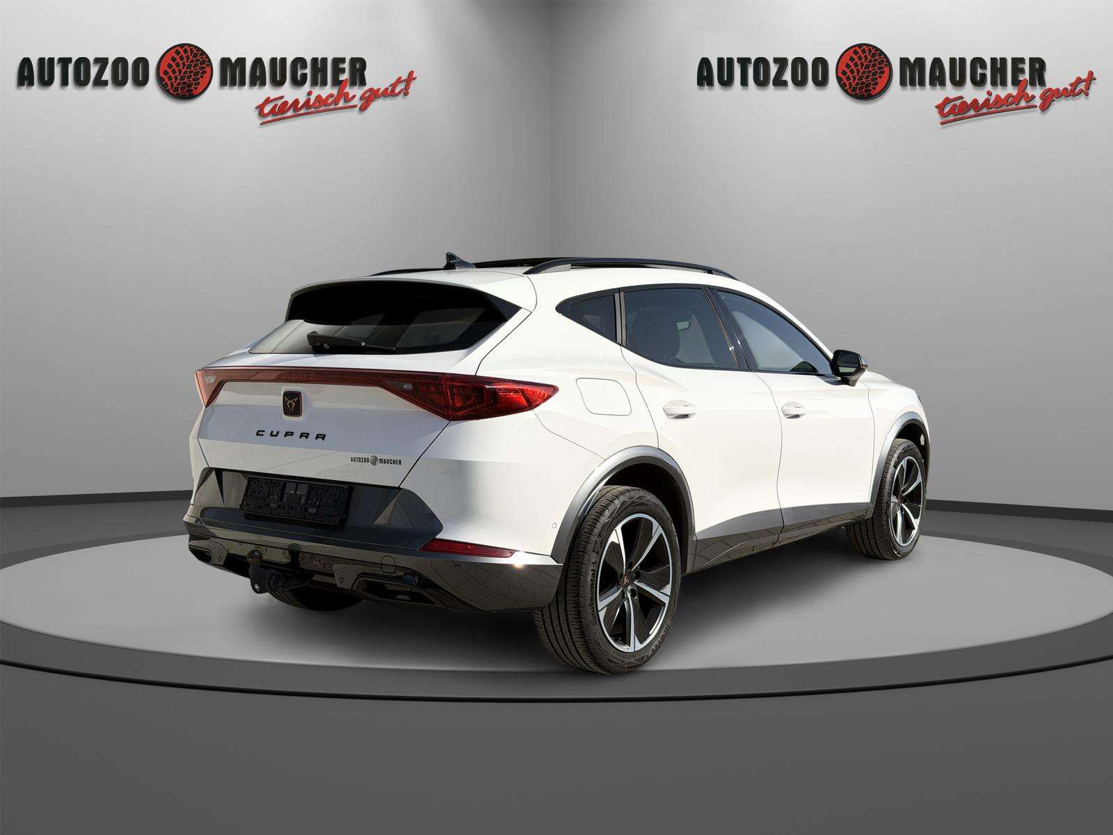 Fahrzeugbild eines CUPRA Formentor